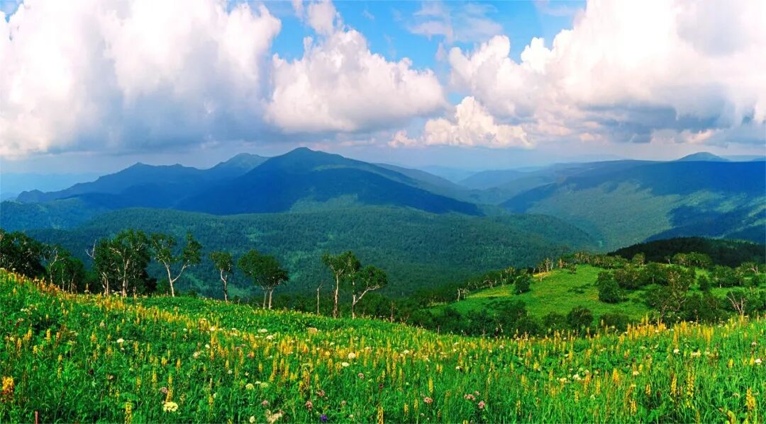伏尔加庄园高考学生票_哈尔滨极地公园中高考生特惠票_哈尔滨科技馆门票