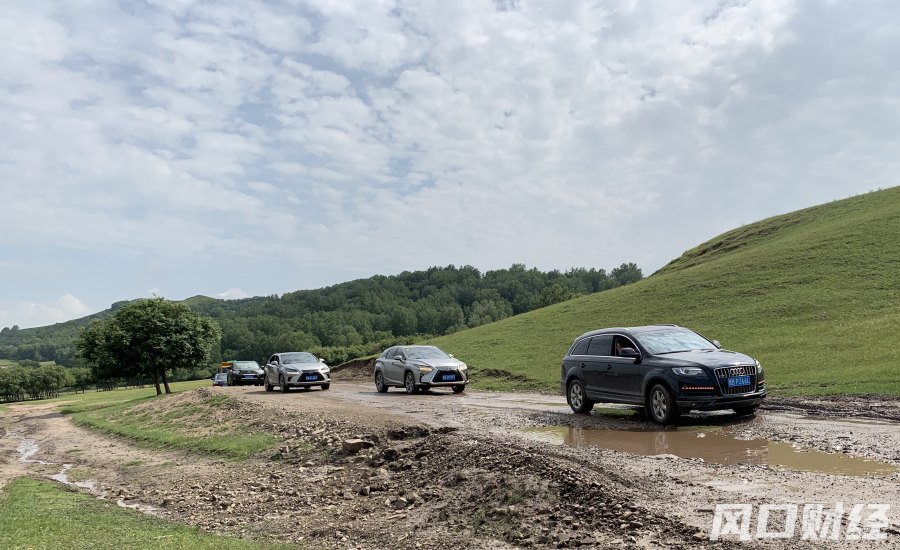 疫情三年旅游行业变化_导游转型经历_武汉导游地图