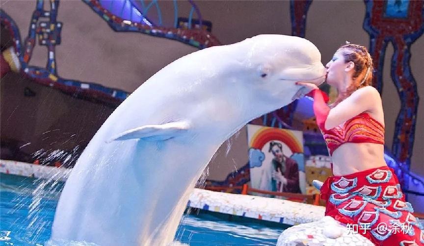 大连旅游攻略_大连艺术学院艺术类分数线_大连最佳旅行路线