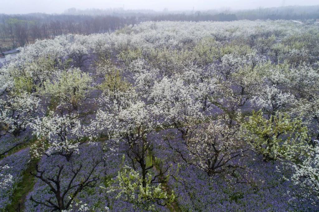 何润东现身宿迁 市民高喊欢迎回家_项羽虞姬宿迁文旅合作_宿迁苏超何润东项羽揭幕战