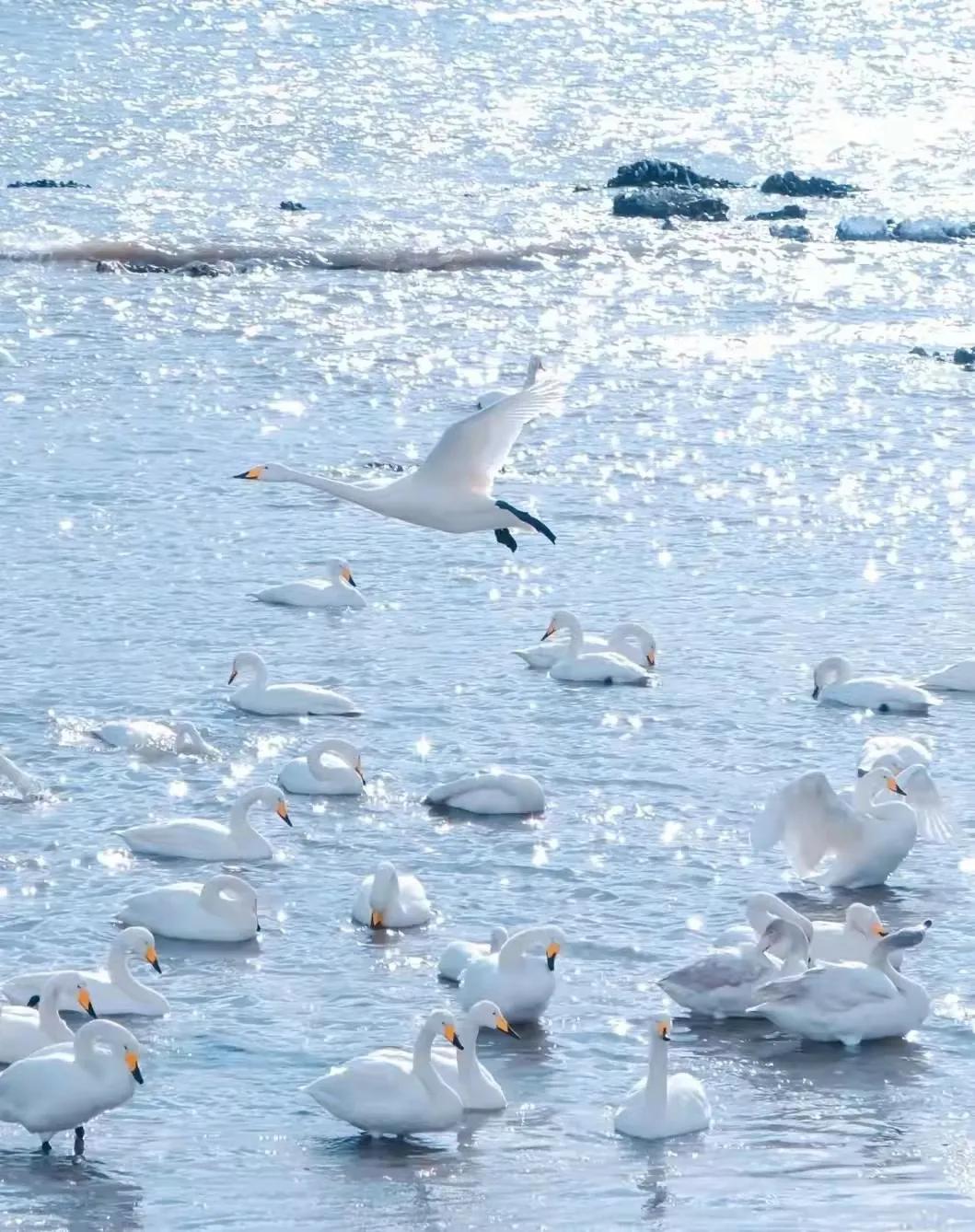 海警救生衣春节_海警春节装备_海警新设计服装