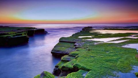 nono蔡淑臻_蔡淑臻纪培慧_蔡淑臻分手