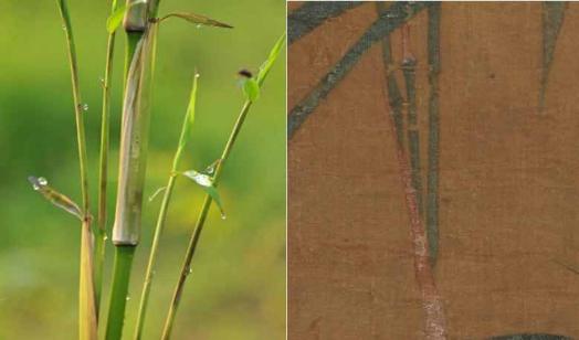   宋徽宗晴竹图真迹  宣和玺  装裱  _张大千字画图片_宋徽宗晴竹图 项元汴 张大千  