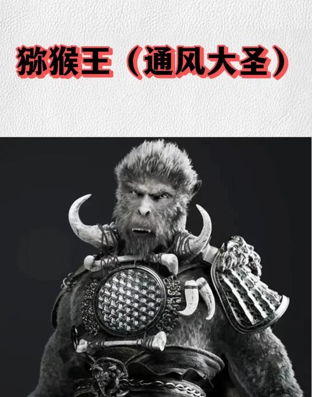 取得真经的是六耳猕猴_孙悟空通风大圣 六耳猕猴 猕猴王