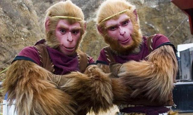 孙悟空通风大圣 六耳猕猴 猕猴王_取得真经的是六耳猕猴