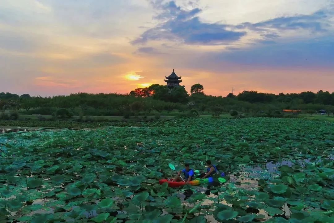 上海欢乐谷玛雅水公园联票_上海中高考免票优惠_上海景区准考证优惠活动