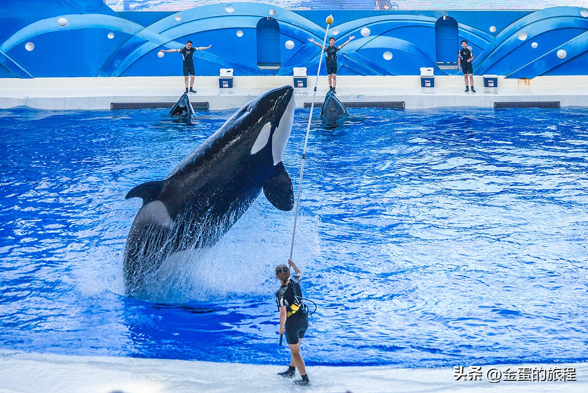上海迪士尼乐园攻略_上海亲子游乐园_上海欢乐谷玛雅水公园联票