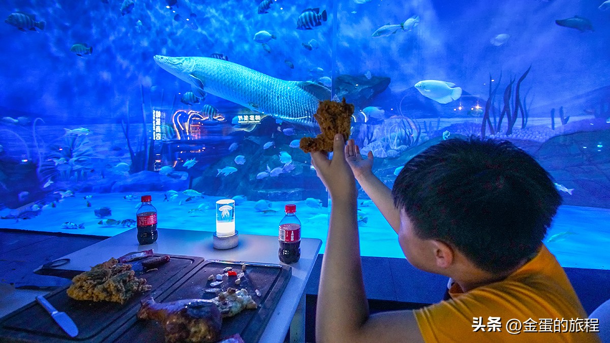 上海迪士尼乐园攻略_上海欢乐谷玛雅水公园联票_上海亲子游乐园