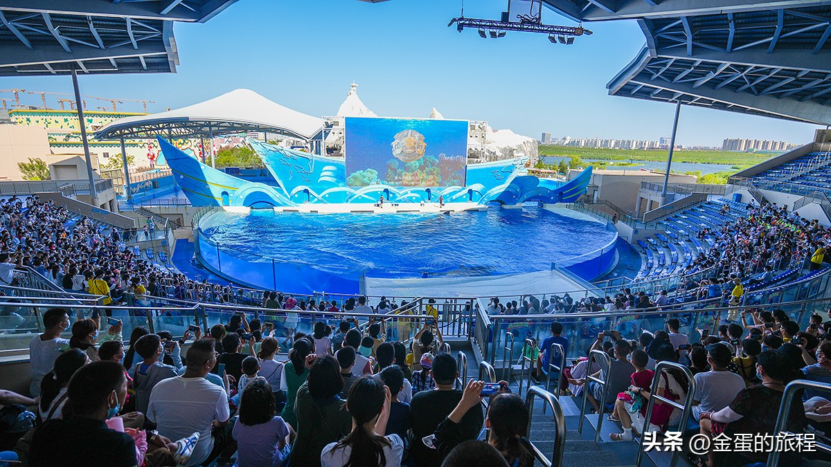 上海迪士尼乐园攻略_上海亲子游乐园_上海欢乐谷玛雅水公园联票