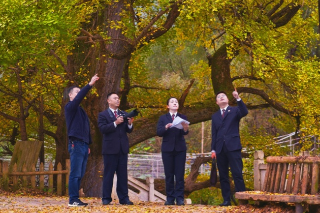 南阳秦岭淮河生态带保护_南阳市检察机关生物多样性保护_淮河生态经济带