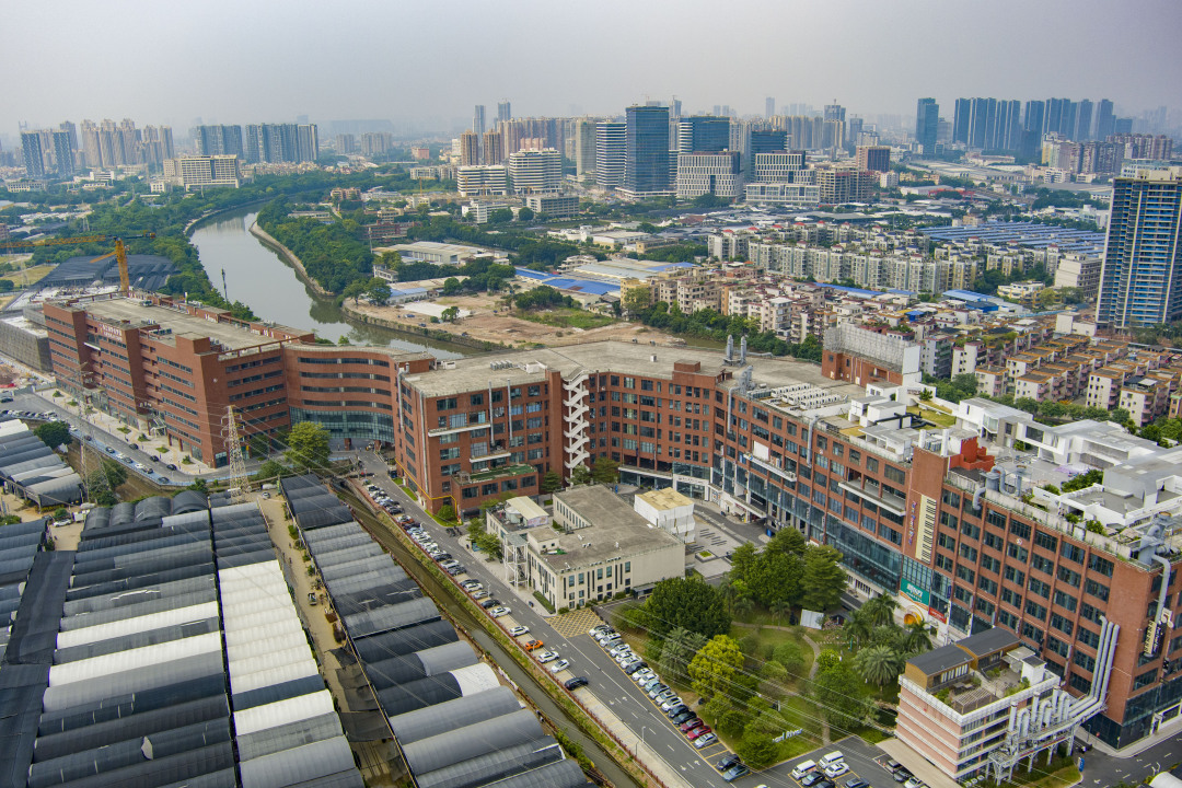 广州钢琴厂历史_珠江钢琴发展历程_珠江钢琴 型号