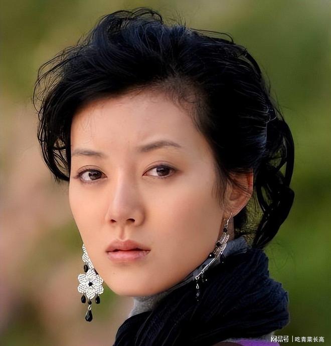 车晓 李兆会 离婚内幕_李兆会 失踪事件_王艳 王志才