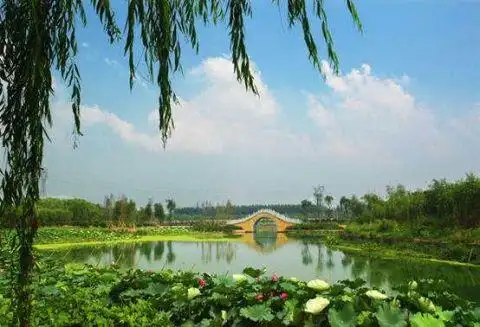 通州大运河湿地公园_京郊自驾游线路_通州运河公园自驾游