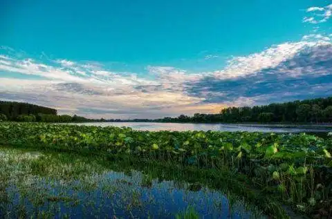 通州运河公园自驾游_通州大运河湿地公园_京郊自驾游线路
