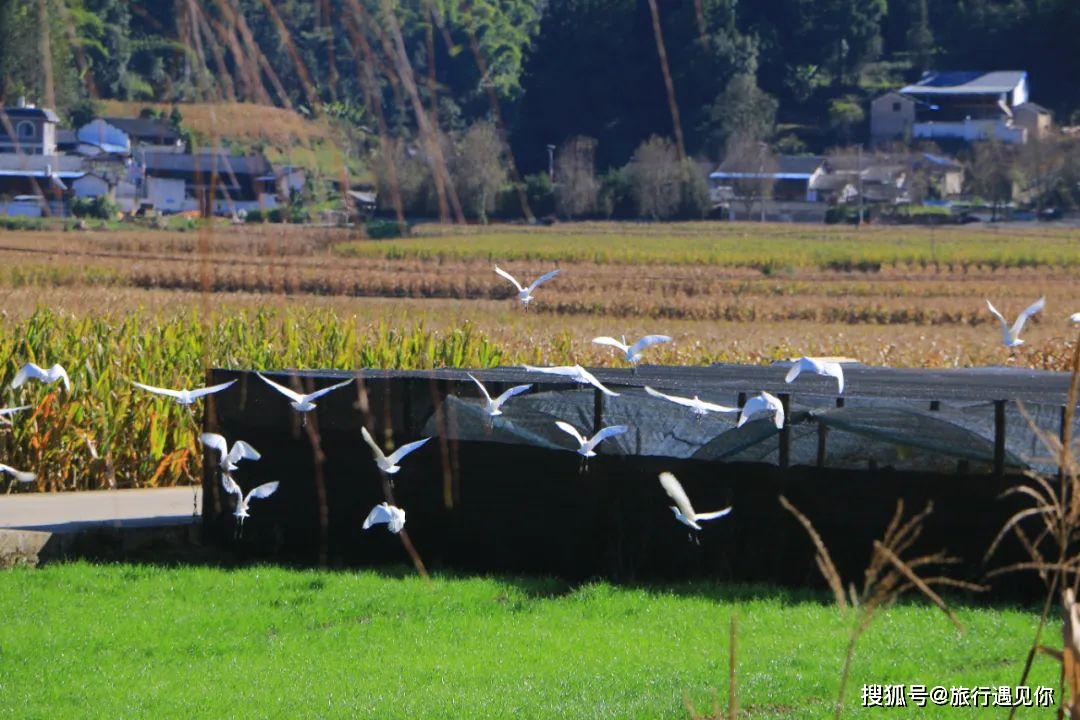 保山旅游攻略_腾冲火山热海旅游_云南保山海拔多少米