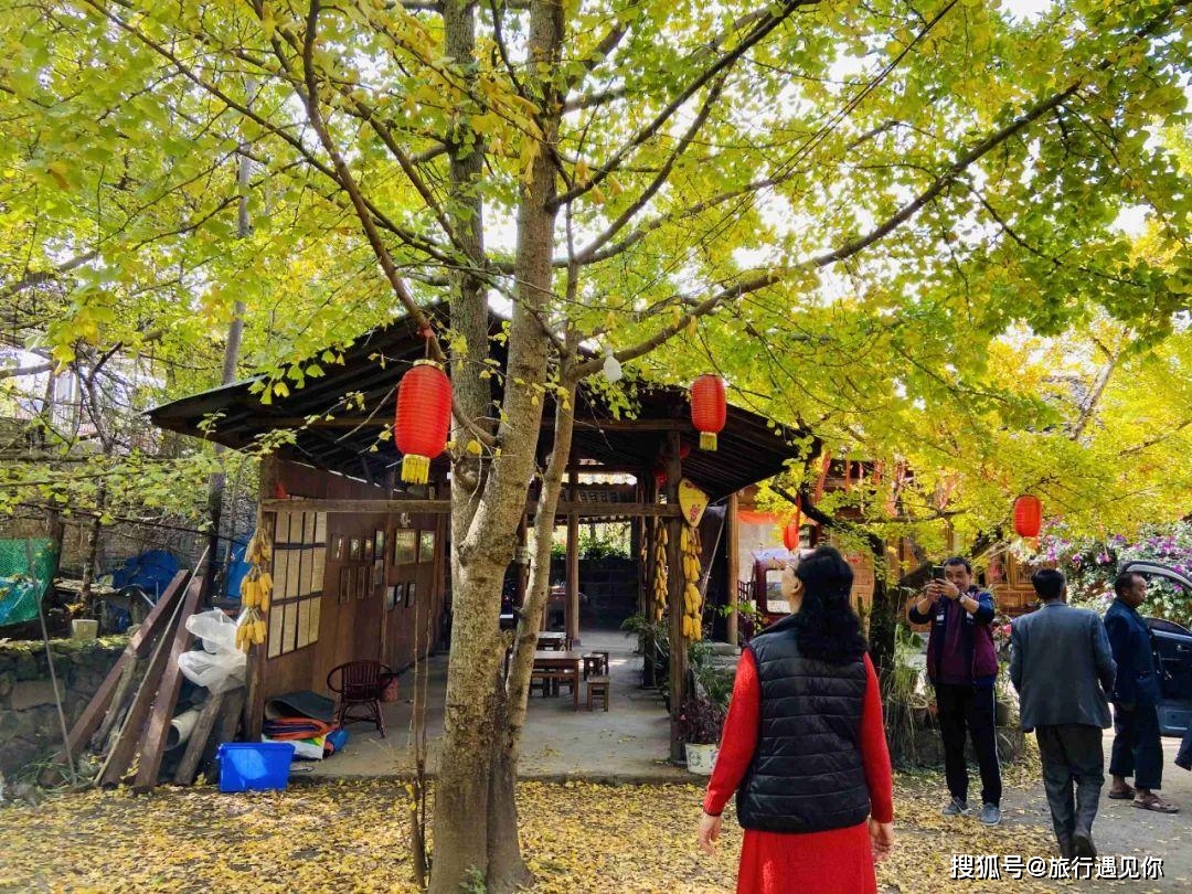 云南保山海拔多少米_腾冲火山热海旅游_保山旅游攻略