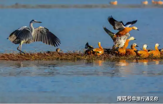 腾冲火山热海旅游_云南保山海拔多少米_保山旅游攻略