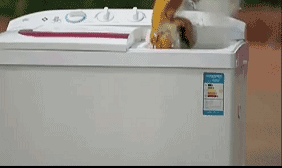 羽绒服清洗方法_干洗羽绒服注意事项_衣服上的洗涤说明图标