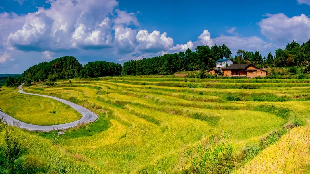 巴南和美乡村_巴南区文化中心_V镜头里看巴南