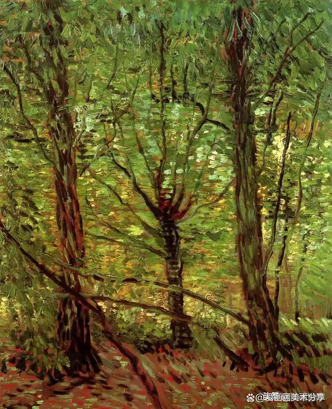 梵高树作品情感表达_梵高的柏树的教案_梵高树系列油画