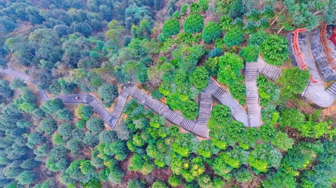 巴南区温泉旅游季_重庆温泉之乡旅游线路_巴南区文化中心