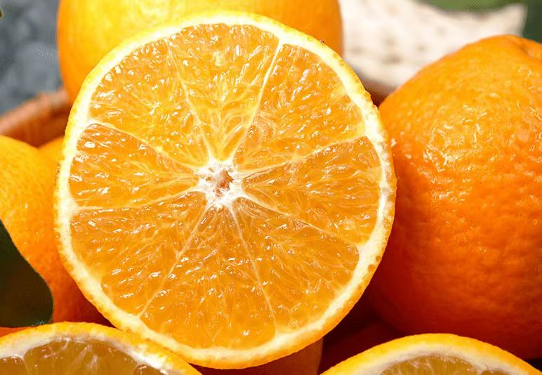 巴南区温泉旅游季_重庆温泉之乡旅游线路_巴南区文化中心