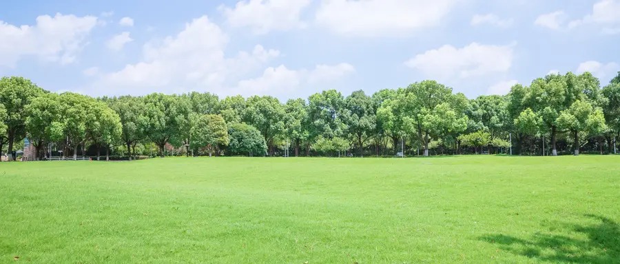 2024年江苏省高考人数_江苏高考报名人数统计_江苏高考招生名额