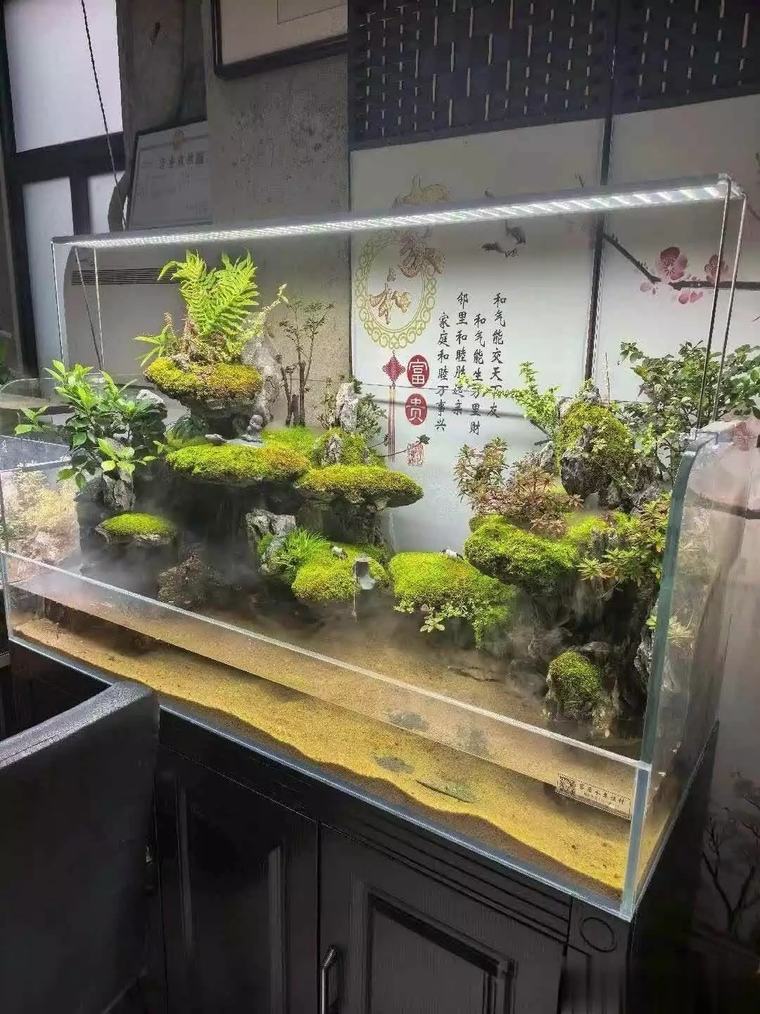 生态鱼缸类型对比_水草缸维护指南_生态鱼缸养鱼注意事项