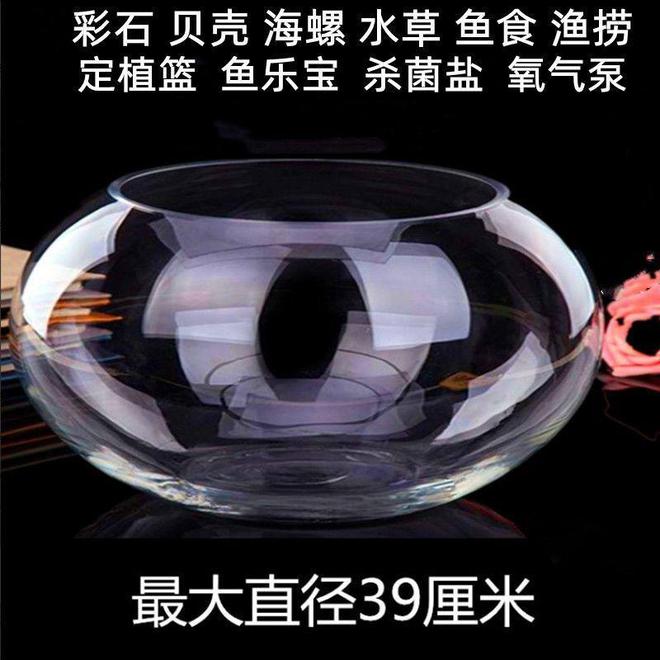 圆形鱼缸 小型桌面鱼缸 家用客厅鱼缸_生态鱼缸养鱼注意事项