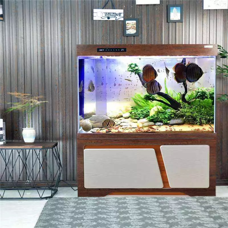 生态鱼缸优点与普通鱼缸对比_普通鱼缸与生态鱼缸选择_生态鱼缸养鱼注意事项