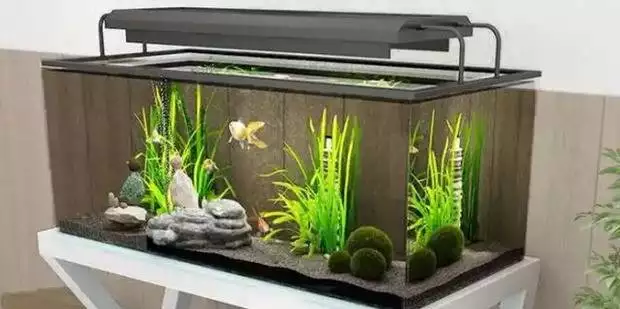 生态鱼缸优点与普通鱼缸对比_生态鱼缸养鱼注意事项_普通鱼缸与生态鱼缸选择
