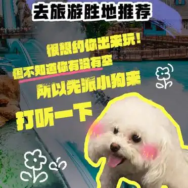 珠海长隆度假区·海洋生物的天堂_暑期适合去哪旅游_2024年暑假必去旅游胜地推荐