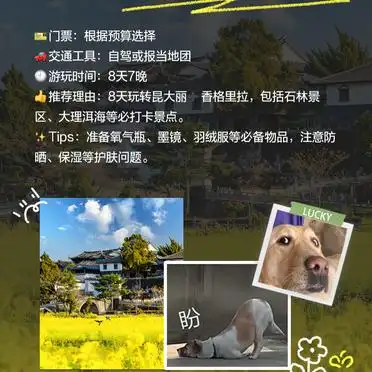 2024年暑假必去旅游胜地推荐_珠海长隆度假区·海洋生物的天堂_暑期适合去哪旅游