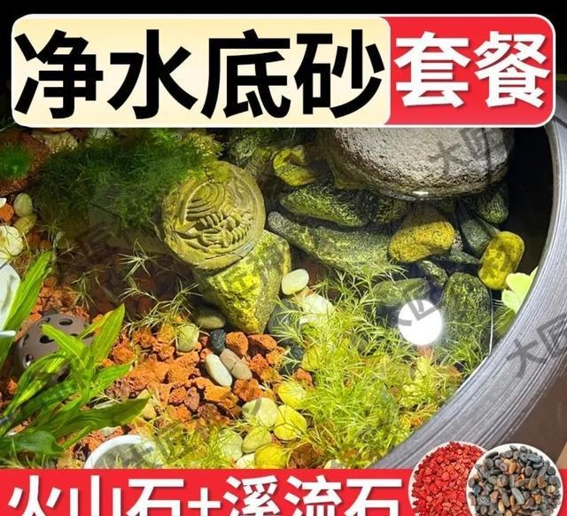 鱼缸生态系统怎么做_懒人生态缸_火山石底床水草配置