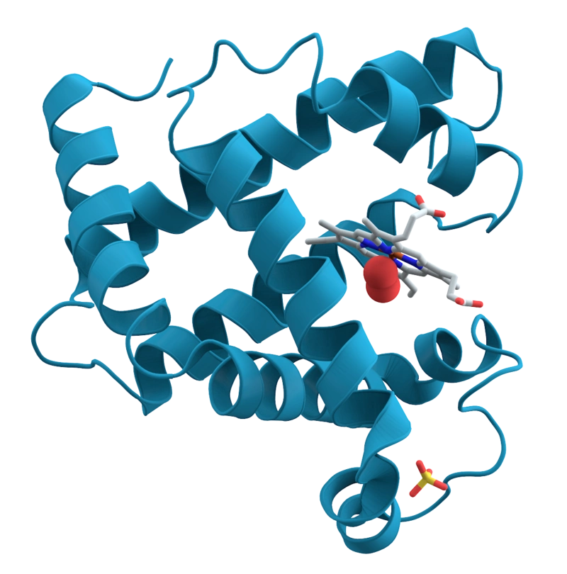 头发生长速度_为什么眉毛生长周期是_眉毛睫毛生长差异