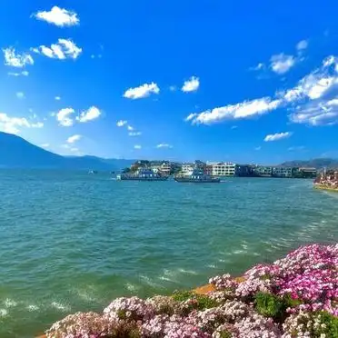 喜洲古镇游玩体验_大理洱海包车环湖攻略_洱海大游船龙龛生态线