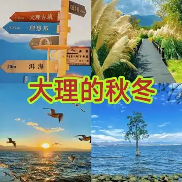 大理洱海必去景点清单_如何到达洱海_洱海大游船龙龛生态线