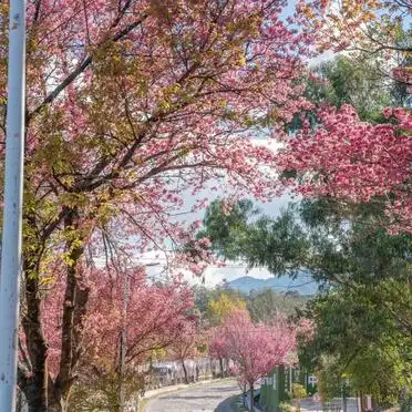 如何到达洱海_大理洱海必去景点清单_洱海大游船龙龛生态线