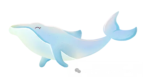 临沂假日20年组团经验专业领队安全舒适优质服务_临沂直飞假日自组游_十一海南旅游团