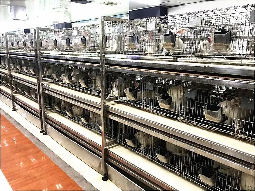 蔗田生态系统_桑基鱼塘 人工生态循环系统 稻鱼共生系统