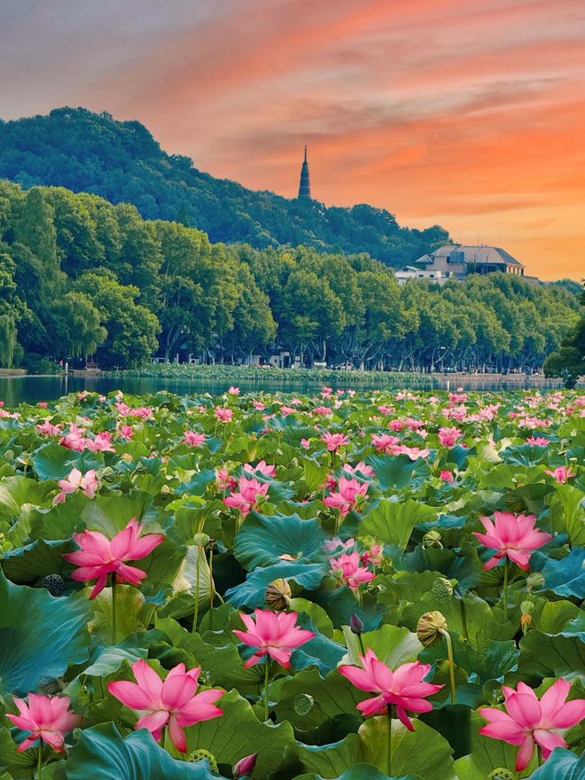 杭州旅行社一览表_杭州口碑优质旅行社_杭州旅行社排名前十名