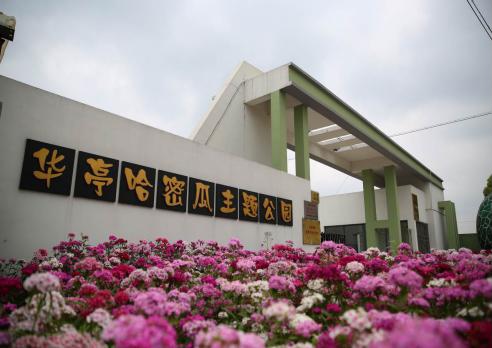 上海十一旅游攻略_上海乡村旅游特色线路_上海市郊休闲农业旅游线路