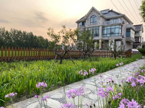 上海十一旅游攻略_上海市郊休闲农业旅游线路_上海乡村旅游特色线路