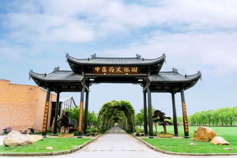 上海乡村旅游特色线路_上海市郊休闲农业旅游线路_上海十一旅游攻略