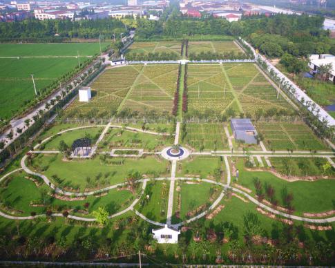 上海十一旅游攻略_上海乡村旅游特色线路_上海市郊休闲农业旅游线路