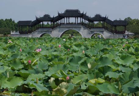 上海十一旅游攻略_上海市郊休闲农业旅游线路_上海乡村旅游特色线路