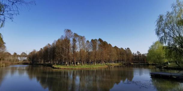 上海十一旅游攻略_上海乡村旅游特色线路_上海市郊休闲农业旅游线路