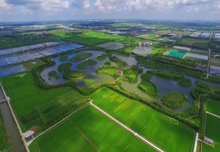 上海十一旅游攻略_上海乡村旅游特色线路_上海市郊休闲农业旅游线路