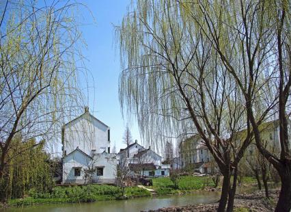 上海乡村旅游特色线路_上海市郊休闲农业旅游线路_上海十一旅游攻略