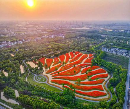 上海市郊休闲农业旅游线路_上海十一旅游攻略_上海乡村旅游特色线路